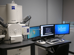 扫描电子显微镜在锂电池研发中的关键应用探讨