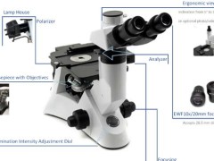 倒置金相显微镜有几个目镜？详细配置解析